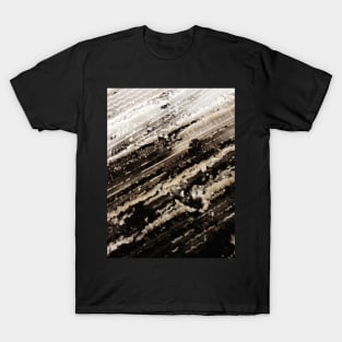 Winter Snow Storm  no. 2 T-Shirt